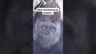 Я и клиент  | +380 (63) 203 34 26 #ноут #юмор #ноутбук #прикол #буноутбуки #мем #днепр #ноутбуки