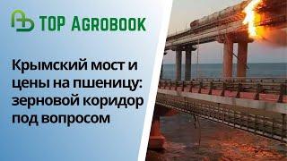 Крымский мост и цены на пшеницу: зерновой коридор под вопросом. TOP Agrobook: обзор агроновостей