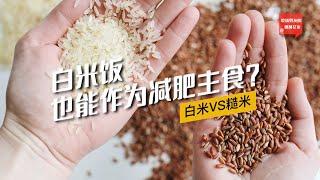 白米饭，也能作为减肥主食？| 白米与糙米的综合分析 【吃货男友的健身女友】