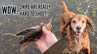 SNIPE SHOOTING IN STRONG WIND!! | DRIVEN BIRDS | FABARM XLR COLUMBA PALUMBUS SEMI AUTOMATIC