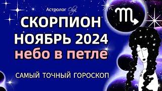 СКОРПИОН - НОЯБРЬ 2024. ГОРОСКОП. Астролог Olga #olgaastrology #ноябрь #петлямарса