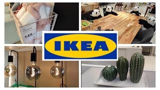 IKEA ️ SZKLANE KAKTUSY  CUDNA LAMPKA PRZEGLĄD PÓŁEK 🩷