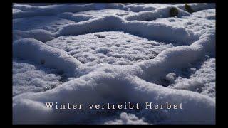 21./ 22.11.2024 ... Wintereinbruch