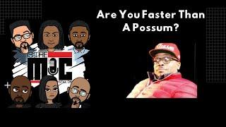 Are You Faster Than A Possum?