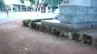 Choche en Buenos Aires