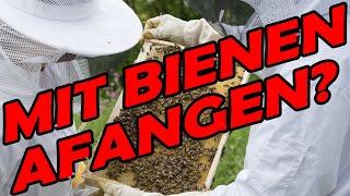 Bienenhaltung für Anfänger Großstadt vs auf dem Land