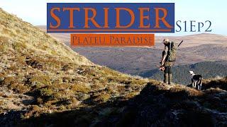 STRIDER: Plateau Paradise S1Ep2-Kaimanawa Sika hunting NZ