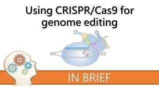 CRISPR/Cas9 GENOME EDITING - GENE EDITING EXPLAINED!