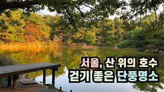 서울, 산 위에 있는 호수 | 가을 단풍 여행 걷는 명소 | 걷기 좋은 숲길 | 지하철 대중교통 산책하기 좋은 곳 | 당일치기 뚜벅이 혼자여행 가볼만한곳 | 태릉 백세길, 제명호