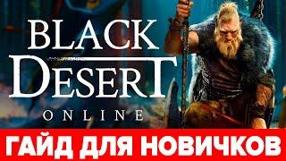  BDO гайд для новичков  Как начать играть в Black Desert ‍️Советы с чего начать и кем играть