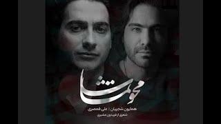 Ali Ghamsari & Homayoun Shajarian - Mahve Tamasha | علی قمصری و همایون شجریان - محو تماشا