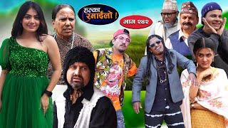 Halka Ramailo | हल्का रमाईलो | Episode 242 || 04 August || 2024 || Balchhi Dhurbe || Nepali Comedy