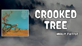 Crooked Tree Lyrics - Molly Tuttle