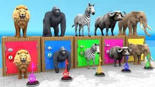 Mammoth Elephant Lion Gorilla Buffalo Guess The Right Key ESCAPE ROOM CHALLENGE Animals Cage Game