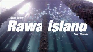 Diving Rawa island | Malaysia