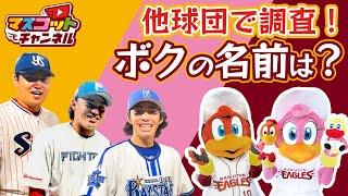 【ついに他球団へ！】マスコットの知名度調査！～有名になりたい鳥たちの挑戦～