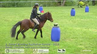 Gaited Working Equitation - Offenthal 2019 - Speed Franziska  Reitz auf Prins fra Bruni