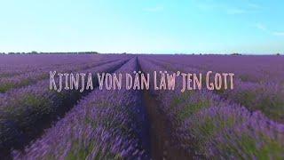 Kjinja von dän Läw’jen Gott -Susie Funk (Plautdietsch) 444hz