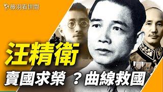 汪精衛到底是賣國求榮還是曲線救國？【歷史真相】｜薇羽看世間 第689期