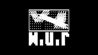 The WUR electronic music project, 1983-1986