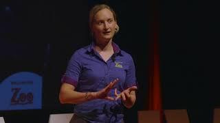 Conservation research through a veterinary hospital | Baukje Lenting | TEDxVUW