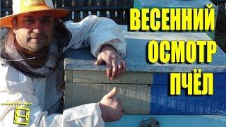 Первый весенний осмотр пчел. Любительское пчеловодство с "0"