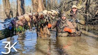 Arkansas Duck Hunt  |  Backup Plan Provides  |  Birds Everywhere