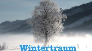 Wintertraum