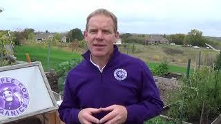 Home Gardening Success-Amend Your Soil 2:1 with Purple Cow Activated Compost for Growing Success