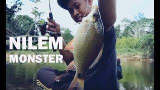 MANCING IKAN NILEM BABON | Danz Perdana