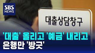 '대출' 올리고 '예금' 내리고…은행만 '방긋' / SBS