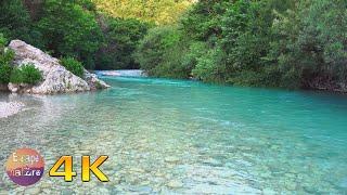 4K Acheron river, a unique place for relaxation & meditation - Water sounds & birds singing