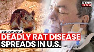 Know All About Hantavirus That Killed 4 People In The U.S. | Rat Borne Disease  | English News
