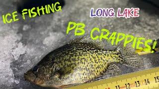 PB CRAPPIES on LONG LAKE [1-18-25]