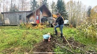 Living Off Grid in Northern Canada | Harvesting our First Garden