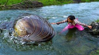 After floods, large river clams are most likely to appear, and there are particularly many pearls