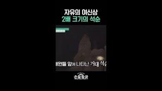 자연이 만들어 낸 걸작ㅣ#손둥동굴