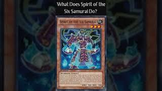 What Does Spirit of the Six Samurai Do? (Yugioh Cards Explained for Easy Deck Building)