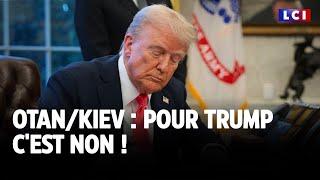 Otan/Kiev : pour Trump c'est non ! ｜LCI