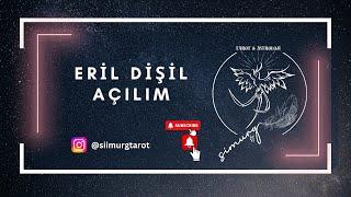 ERİL DİŞİL AÇILIM! Aklındaki kişiyi konuşturuyorum! #erildişil