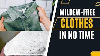 How to Remove Mildew From Clothes Easily (Secrets No One Will Tell You)