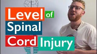 Spinal Cord Injury | Levels of injury
