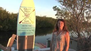 Natural Paths Paddleboard Adventures - Marathon, Florida Keys - video by Marathon Florida TV