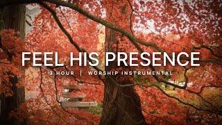 Feel His Presence | 3 Hour of Prayer & Meditation Music | Soaking Worship