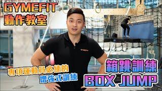 【GYMEFIT 動作教室】專項運動員必練的增強式訓練 -箱跳訓練