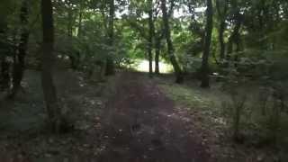 Hoia Baciu Forest - The Notorious Circle (26 July 2014)