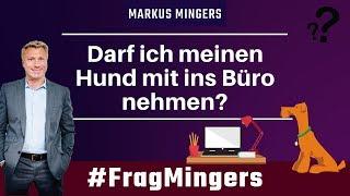 Darf ich meinen Hund mit ins Büro nehmen? | #FragMingers | Rechtsanwalt Markus Mingers