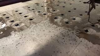 Corte con plasma CNC