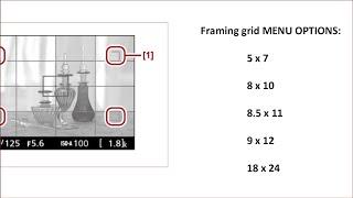 [tech] NIKON needs Framing Grid Lines for common print sizes