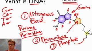What is DNA?
